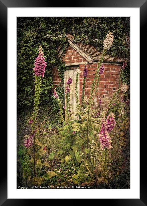 Bottom Of A Cottage Garden Framed Mounted Print by Ian Lewis