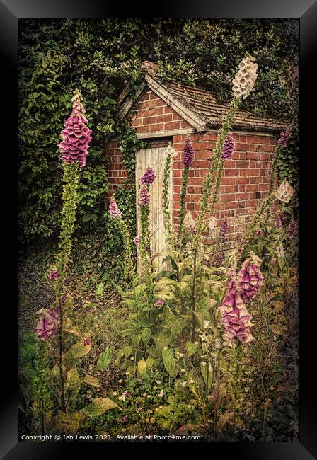 Bottom Of A Cottage Garden Framed Print by Ian Lewis