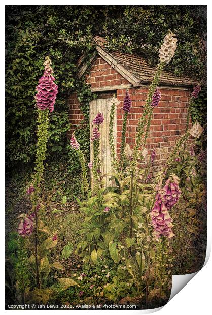 Bottom Of A Cottage Garden Print by Ian Lewis