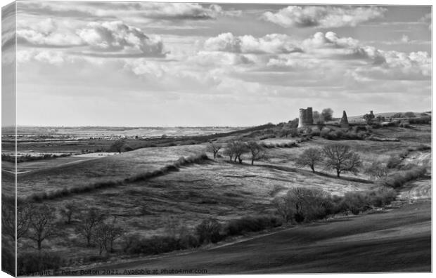 Landscape at Hadleigh in Essex including ruins of Hadleigh Castle Canvas Print by Peter Bolton