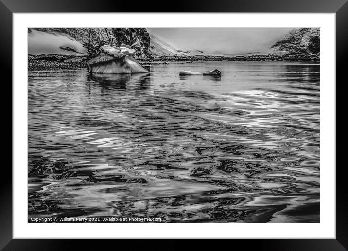 Black White Glacier Snow Mountains Paradise Bay Skintorp Cove An Framed Mounted Print by William Perry