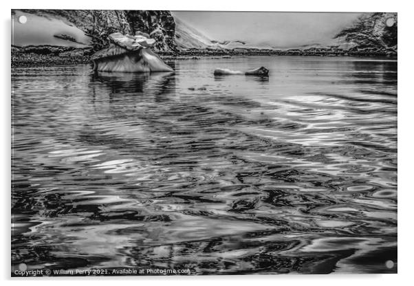 Black White Glacier Snow Mountains Paradise Bay Skintorp Cove An Acrylic by William Perry