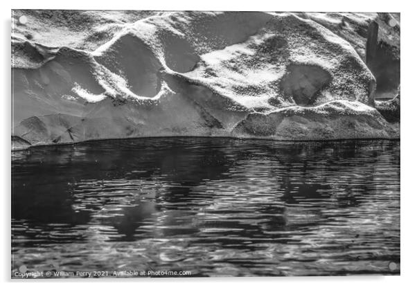 Black and White Glacier Reflection Paradise Bay Skintorp Cove An Acrylic by William Perry