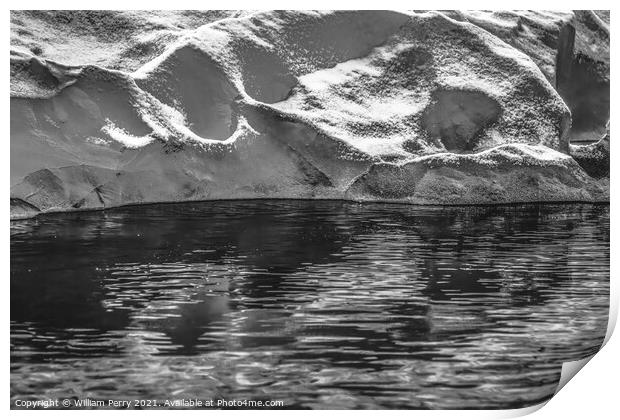 Black and White Glacier Reflection Paradise Bay Skintorp Cove An Print by William Perry