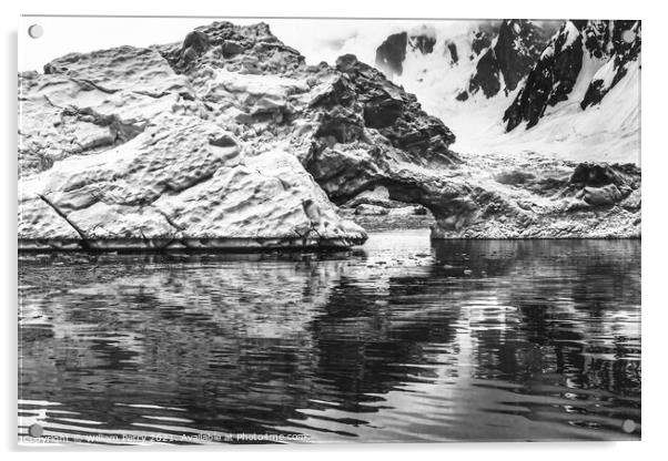 Black White Iceberg Arch Reflection Paradise Bay Skintorp Cove A Acrylic by William Perry