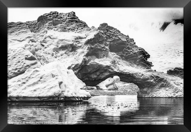 Black White Floating Blue Iceberg Arch Reflection Paradise Bay S Framed Print by William Perry