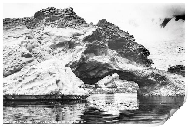 Black White Floating Blue Iceberg Arch Reflection Paradise Bay S Print by William Perry
