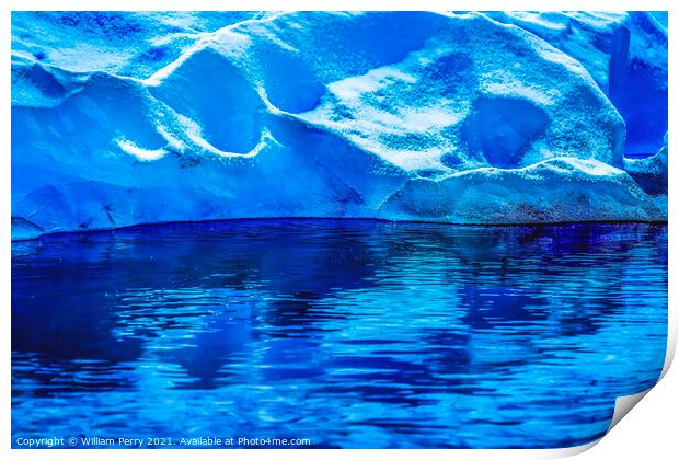 Blue Glacier Reflection Paradise Bay Skintorp Cove Antarctica Print by William Perry