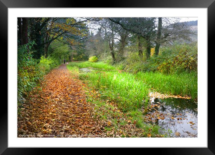A Serene Autumn Stroll Framed Mounted Print by Peter Thomas