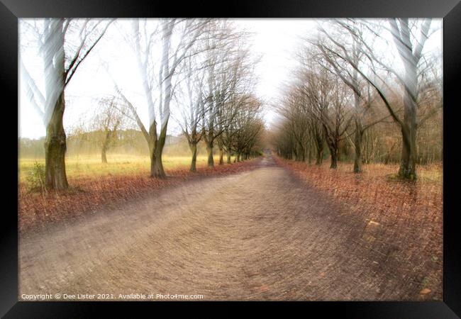 Abstract woodland promenade in Rivington Lancashire Framed Print by Dee Lister