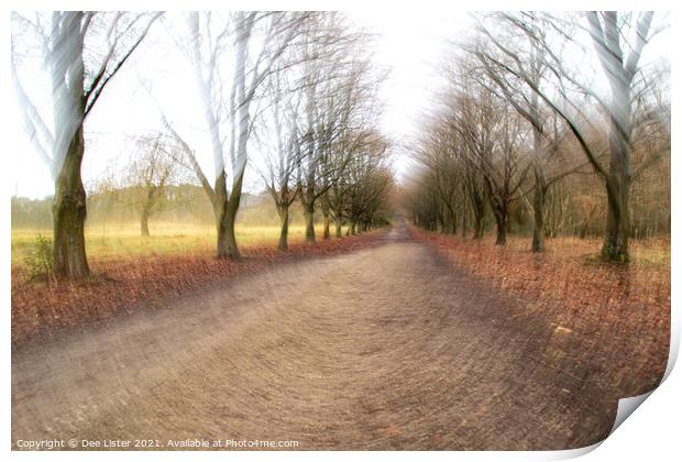 Abstract woodland promenade in Rivington Lancashire Print by Dee Lister
