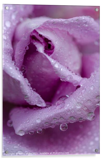 lilac rose with raindrops,garden rose,tranquil , Acrylic by kathy white