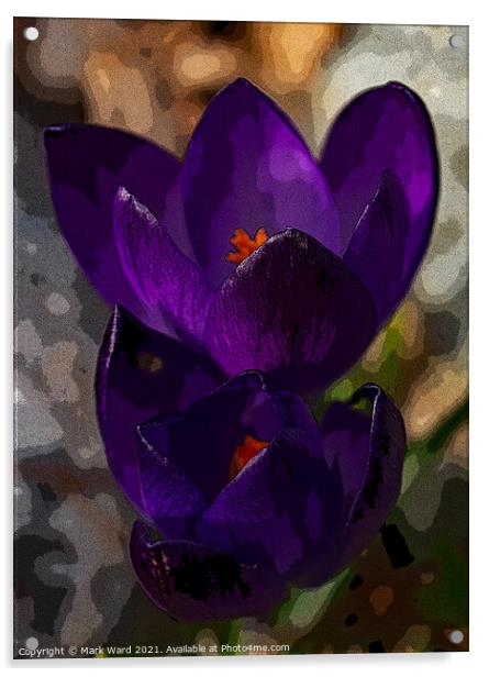 Crocus Therapy Acrylic by Mark Ward