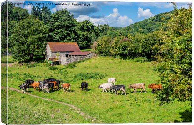 Cows in a Meadow Gloucestershire side of River Wye Canvas Print by Nick Jenkins