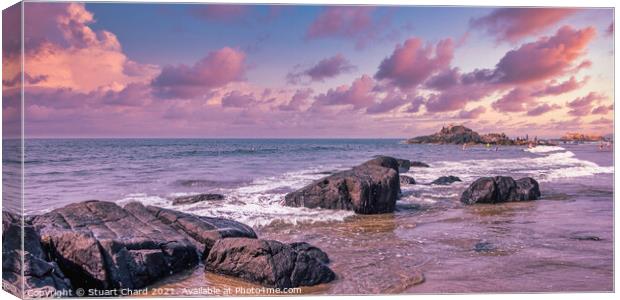 Untouched tropical beach Goa  Canvas Print by Travel and Pixels 