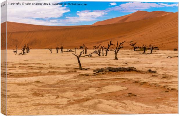 Deadvlei in Namibia Canvas Print by colin chalkley