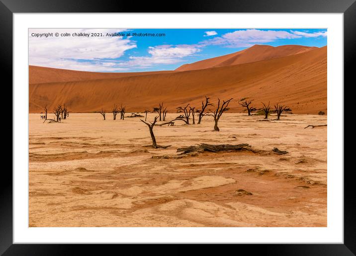 Deadvlei in Namibia Framed Mounted Print by colin chalkley