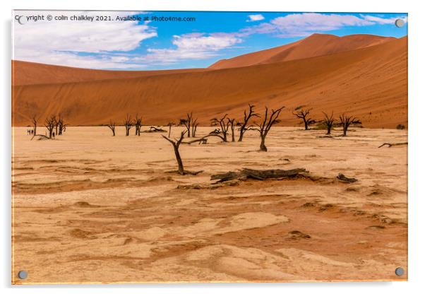 Deadvlei in Namibia Acrylic by colin chalkley
