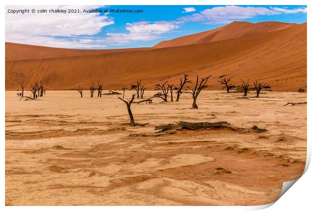 Deadvlei in Namibia Print by colin chalkley