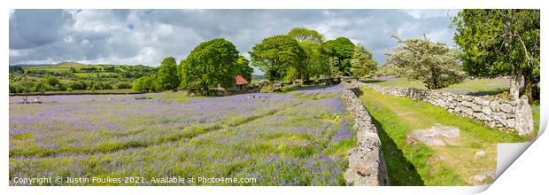 Bluebells at Emsworthy Mire, Dartmoor, Devon Print by Justin Foulkes