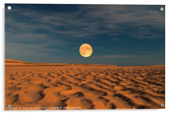 Moon across the Sands Acrylic by Dave Harnetty