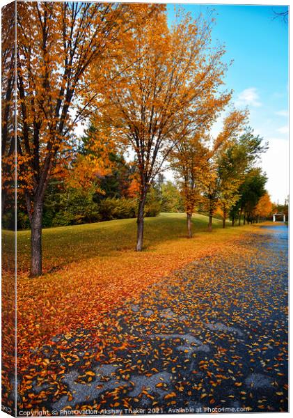 Beautiful Autumn or fall colors landscapes in Canada Canvas Print by PhotOvation-Akshay Thaker