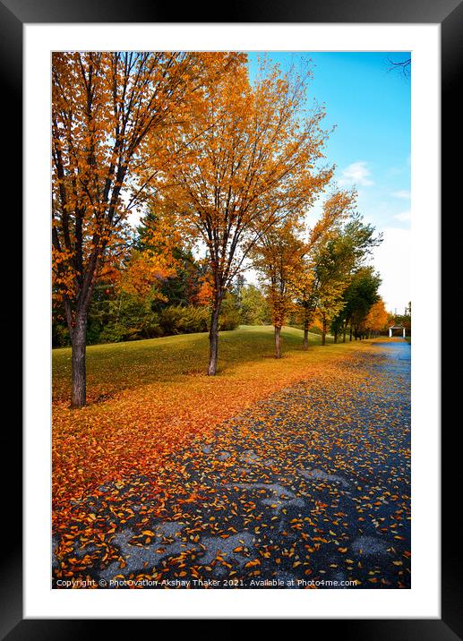 Beautiful Autumn or fall colors landscapes in Canada Framed Mounted Print by PhotOvation-Akshay Thaker