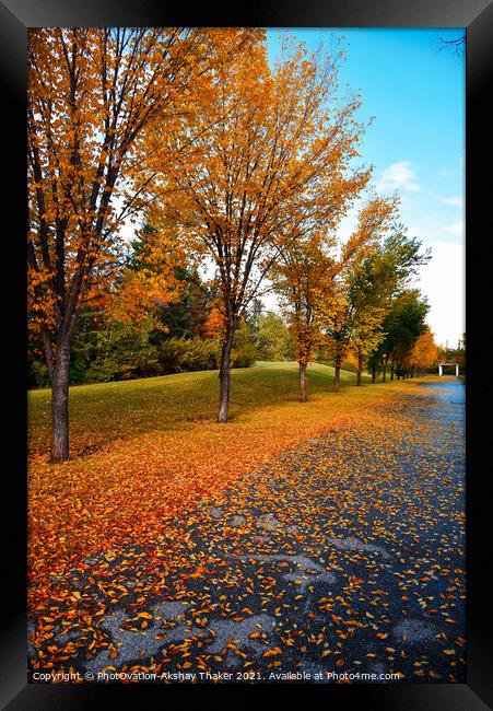 Beautiful Autumn or fall colors landscapes in Canada Framed Print by PhotOvation-Akshay Thaker