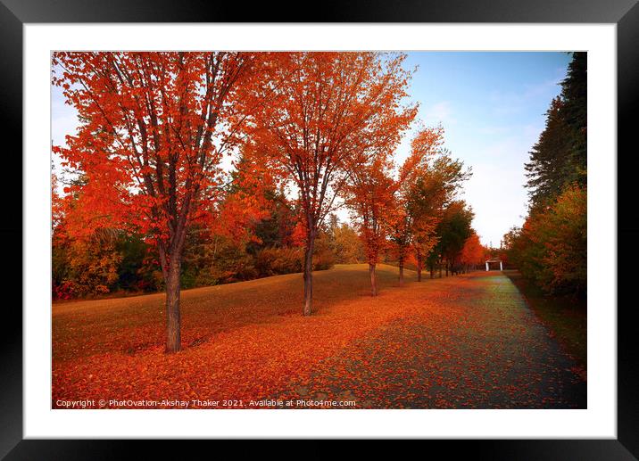 Poster perfect Canadian autumn or fall color landscape  Framed Mounted Print by PhotOvation-Akshay Thaker