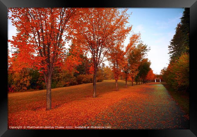 Poster perfect Canadian autumn or fall color landscape  Framed Print by PhotOvation-Akshay Thaker
