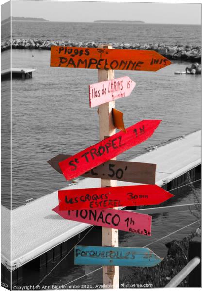 Signpost Canvas Print by Ann Biddlecombe