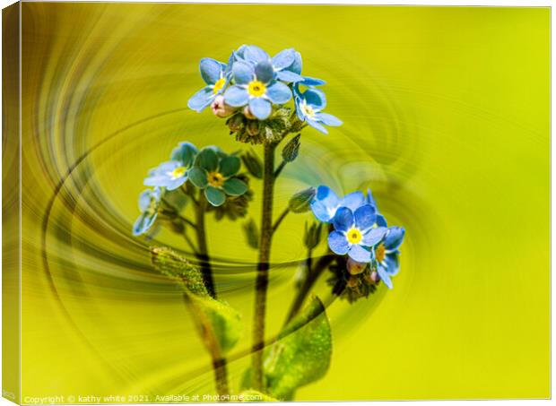  forgetmenot,blue flower,Forget Me Nots, windswept Canvas Print by kathy white