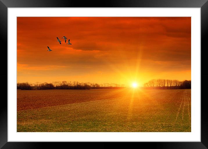 WHEN THE DAY IS DONE Framed Mounted Print by Tom York