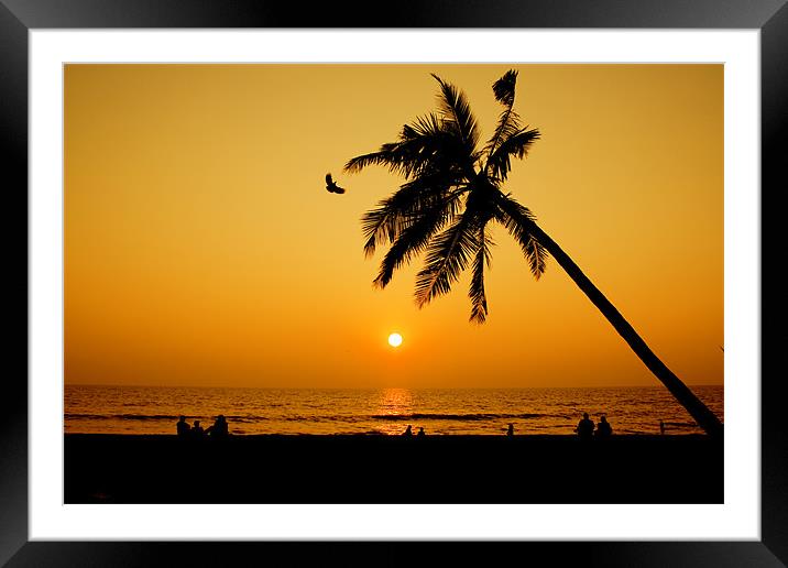A sunset with family Framed Mounted Print by Robinson Thomas