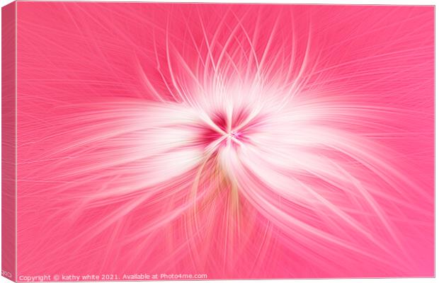 Dandelion  seed head on a pink background  Canvas Print by kathy white