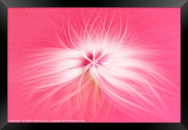 Dandelion  seed head on a pink background  Framed Print by kathy white