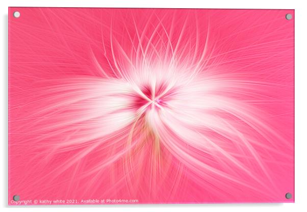 Dandelion  seed head on a pink background  Acrylic by kathy white