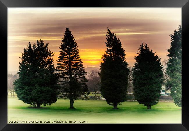 Fairway Sunrise Framed Print by Trevor Camp