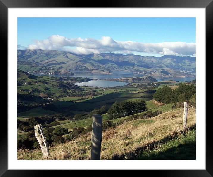 Akaroa, New Zealand Vista Framed Mounted Print by Jay Huckins