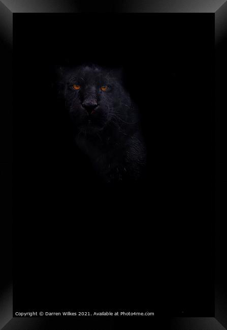 Black Jaguar - In The Shadows  Framed Print by Darren Wilkes