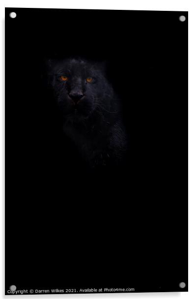 Black Jaguar - In The Shadows  Acrylic by Darren Wilkes