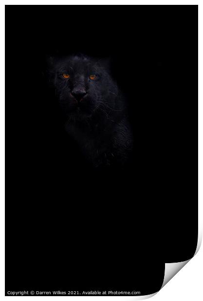 Black Jaguar - In The Shadows  Print by Darren Wilkes