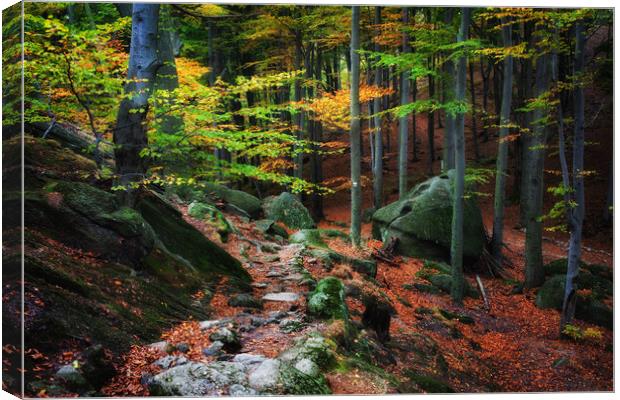 Mountain Forest In Autumn Canvas Print by Artur Bogacki
