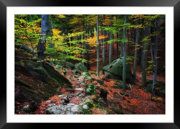 Mountain Forest In Autumn Framed Mounted Print by Artur Bogacki