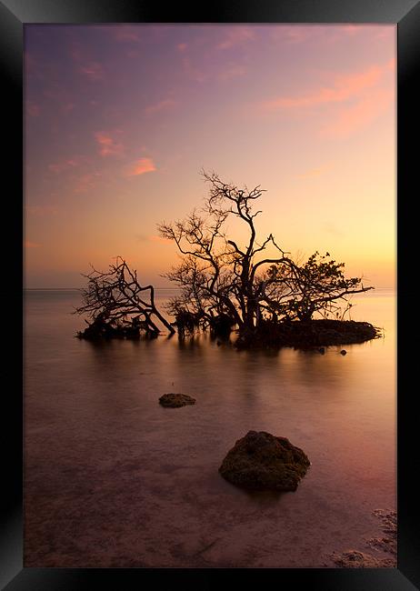 Florida Keys Sunset Framed Print by Mike Dawson