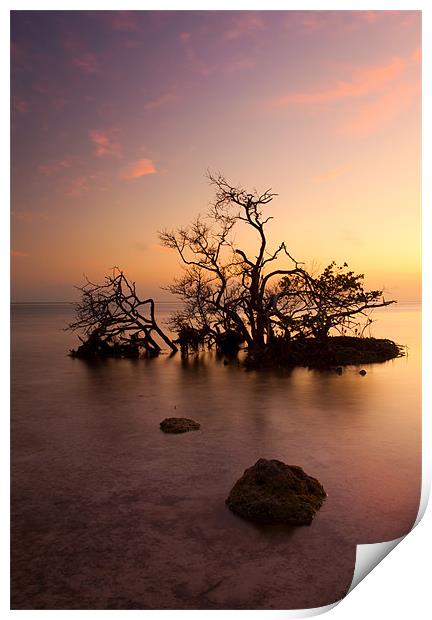 Florida Keys Sunset Print by Mike Dawson
