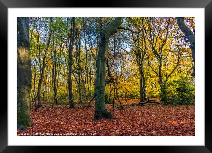 Autumnal scene in a Liverpool Park Framed Mounted Print by Phil Longfoot