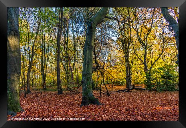 Autumnal scene in a Liverpool Park Framed Print by Phil Longfoot