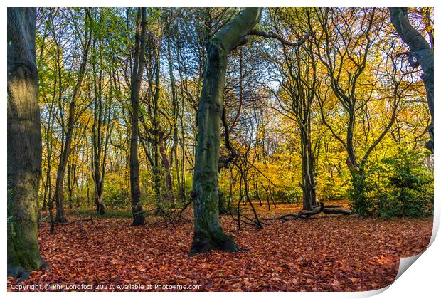 Autumnal scene in a Liverpool Park Print by Phil Longfoot