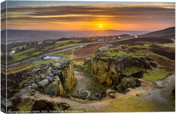 Cow and Calf sunrise. Canvas Print by Chris North